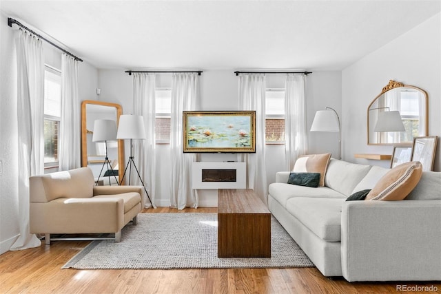 living room featuring hardwood / wood-style floors