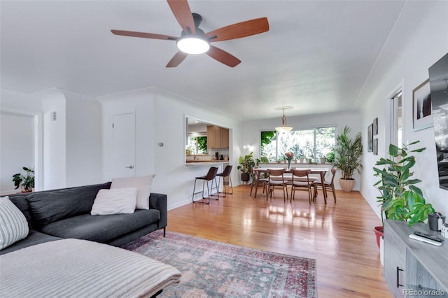 3049 S Williams St, Denver, CO 80210 - photo 6