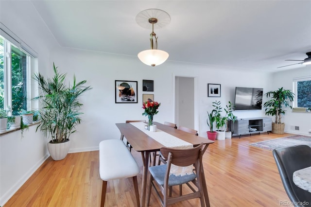 3049 S Williams St, Denver, CO 80210 - photo 7
