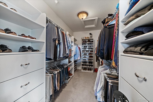 walk in closet featuring light carpet and attic access