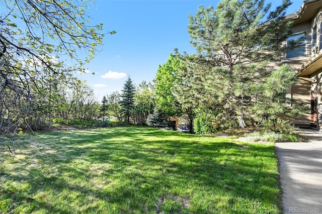 1159 Buffalo Ridge Rd, Castle Pines, CO 80108 - view of green lawn