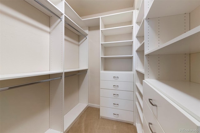 spacious closet with light carpet