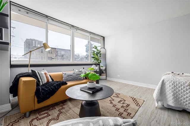 living area featuring light wood-type flooring