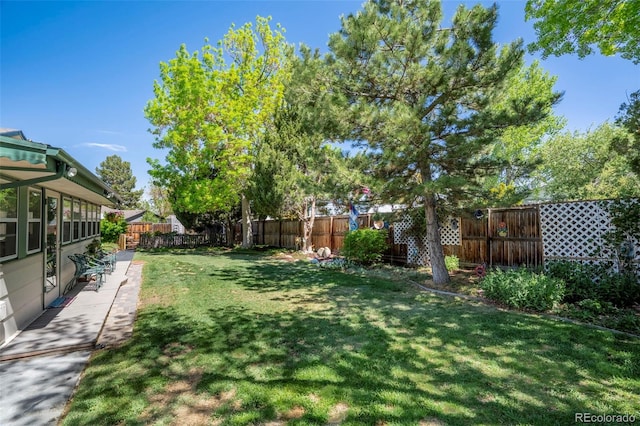 view of yard