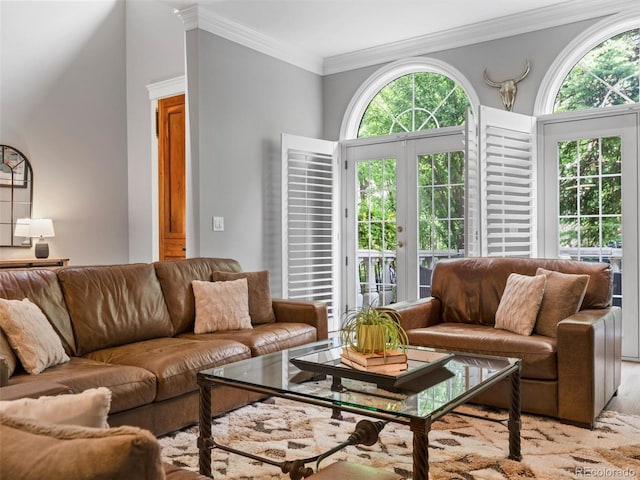 425 Steele St, Denver, CO 80206 - living room featuring ornamental molding and light wood-type flooring