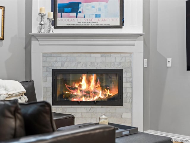 425 Steele St, Denver, CO 80206 - detailed view of a glass covered fireplace