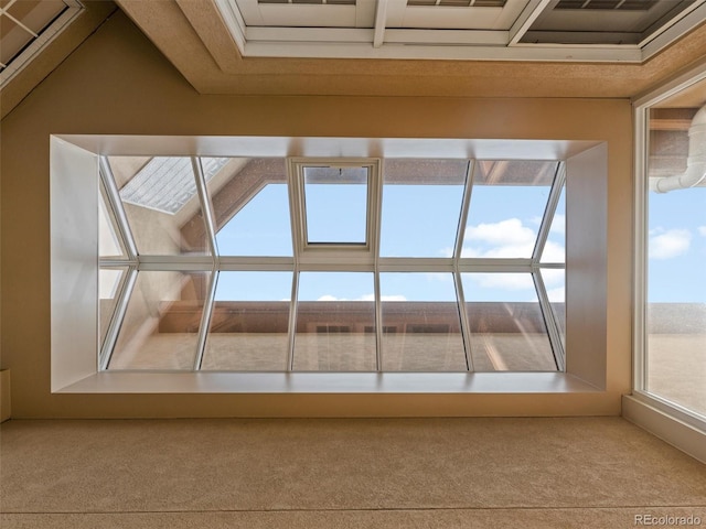425 Steele St, Denver, CO 80206 - detailed view of carpet floors