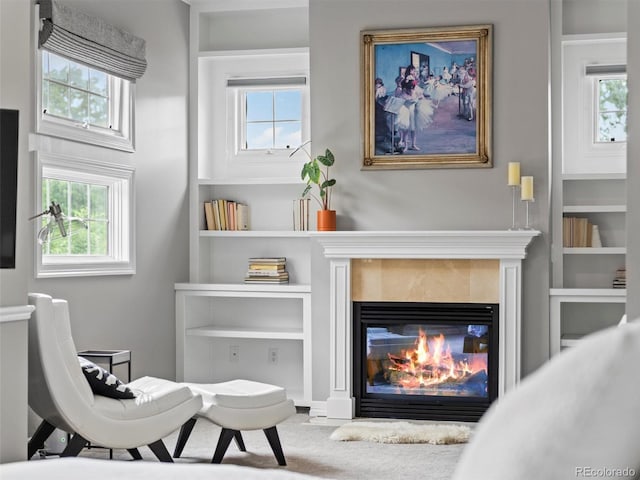 425 Steele St, Denver, CO 80206 - living area featuring built in features and a tile fireplace