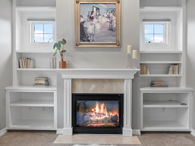 425 Steele St, Denver, CO 80206 - detailed view of a fireplace with flush hearth and built in shelves