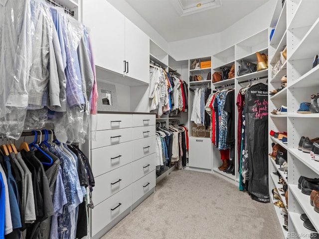 425 Steele St, Denver, CO 80206 - spacious closet featuring attic access and light carpet