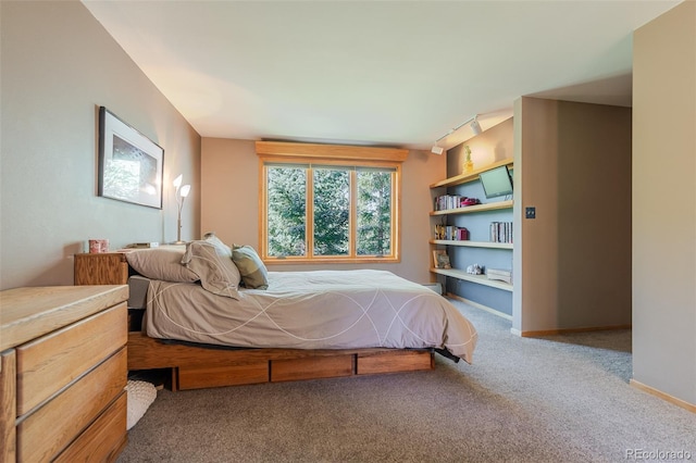 bedroom featuring baseboards and carpet
