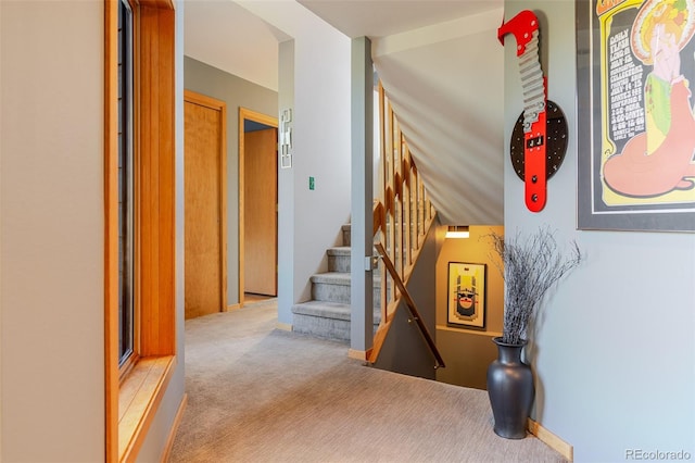 stairs featuring carpet floors