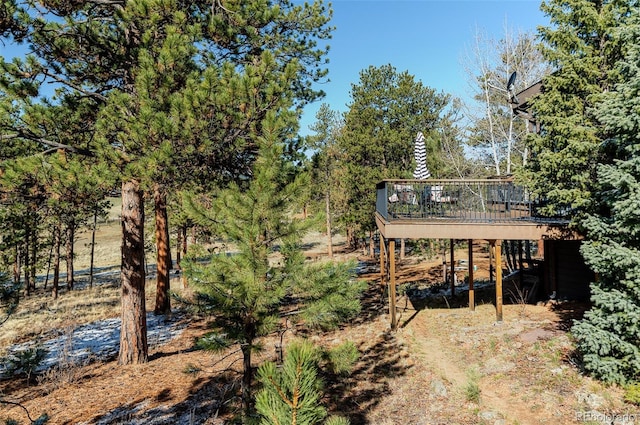 view of yard featuring a wooden deck