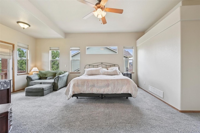 8746 Country Creek Trl, Colorado Springs, CO 80924 - photo 19