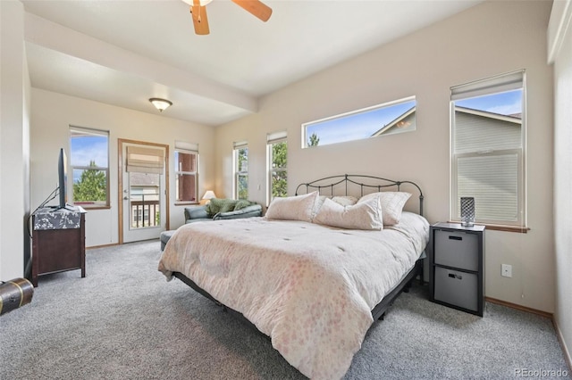 8746 Country Creek Trl, Colorado Springs, CO 80924 - photo 20