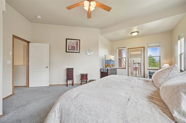 8746 Country Creek Trl, Colorado Springs, CO 80924 - photo 21