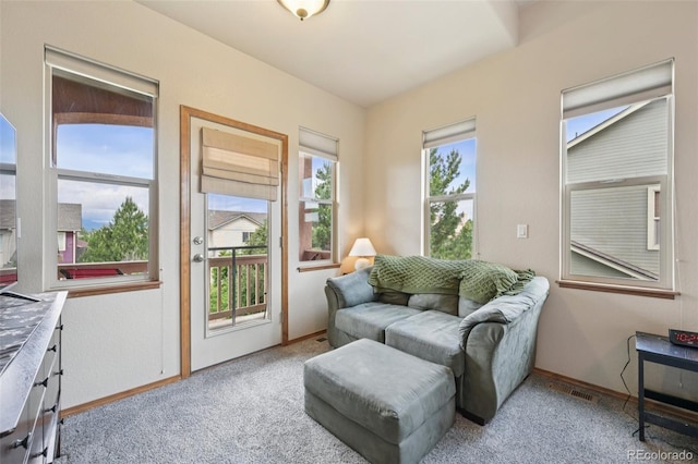 8746 Country Creek Trl, Colorado Springs, CO 80924 - photo 23