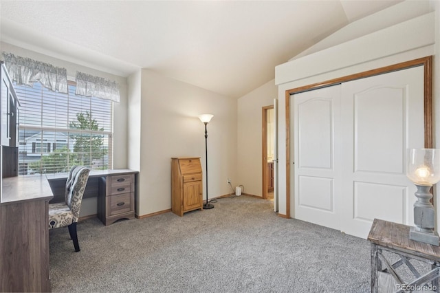 8746 Country Creek Trl, Colorado Springs, CO 80924 - photo 30
