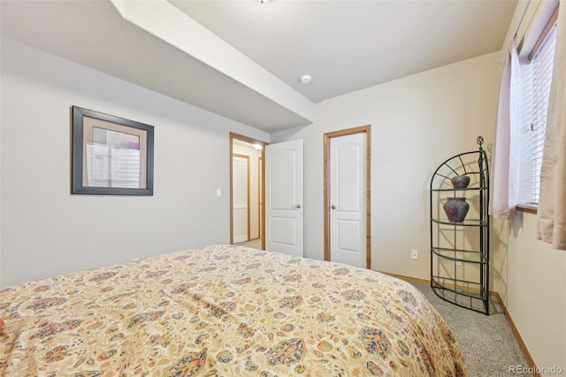 8746 Country Creek Trl, Colorado Springs, CO 80924 - photo 32