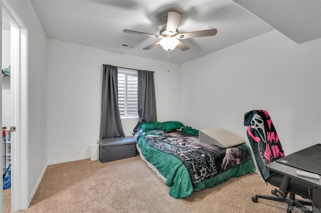 905 Engleby Dr, Colorado Springs, CO 80930 - photo 31
