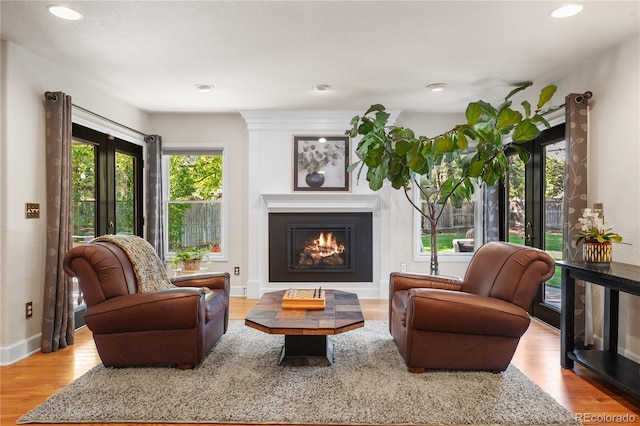 living area featuring light hardwood / wood-style floors