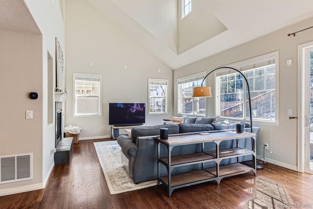 10935 Valleybrook Cir, Highlands Ranch, CO 80130 - living area with baseboards, plenty of natural light, high vaulted ceiling, and wood finished floors