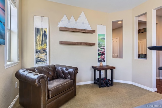 10935 Valleybrook Cir, Highlands Ranch, CO 80130 - living area with baseboards and carpet