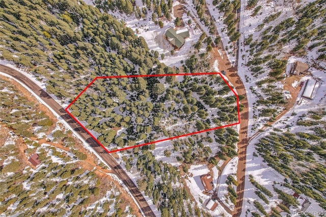 10549 Christopher Dr, Conifer, CO 80433 - photo 1