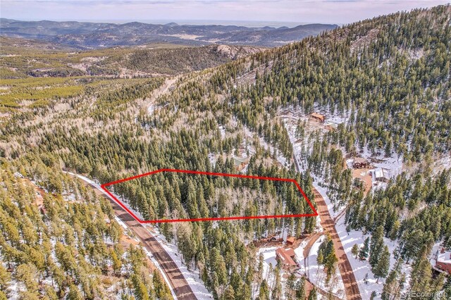 10549 Christopher Dr, Conifer, CO 80433 - photo 3