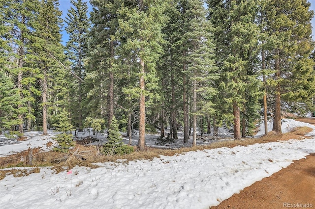 10549 Christopher Dr, Conifer, CO 80433 - photo 4