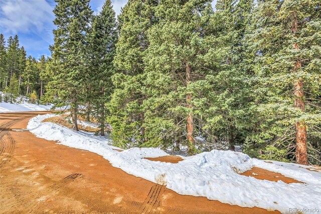 10549 Christopher Dr, Conifer, CO 80433 - photo 6