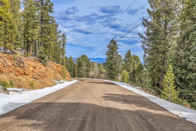 10549 Christopher Dr, Conifer, CO 80433 - photo 8