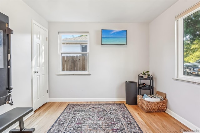 sitting room with wood-type flooring