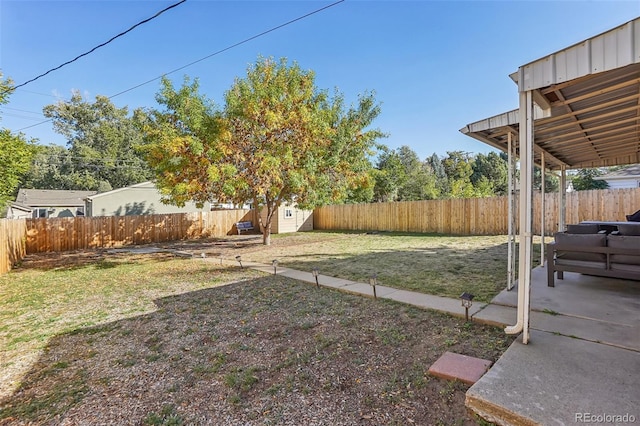 view of yard featuring a patio area and a storage unit