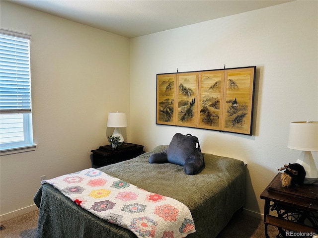 carpeted bedroom with multiple windows