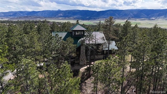 drone / aerial view featuring a mountain view