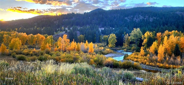 Spruce St, Del Norte, CO 81132