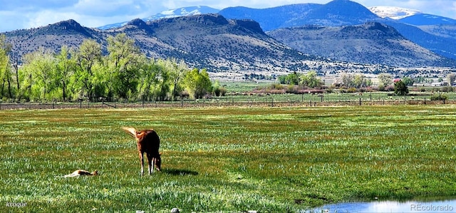 Spruce St, Del Norte, CO 81132