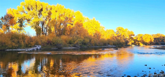 Spruce St, Del Norte, CO 81132