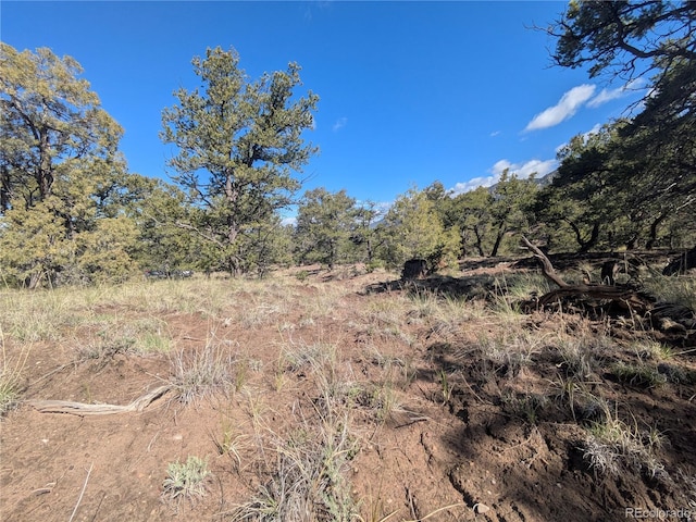 1813 Rockyview Way, Crestone, CO 81131