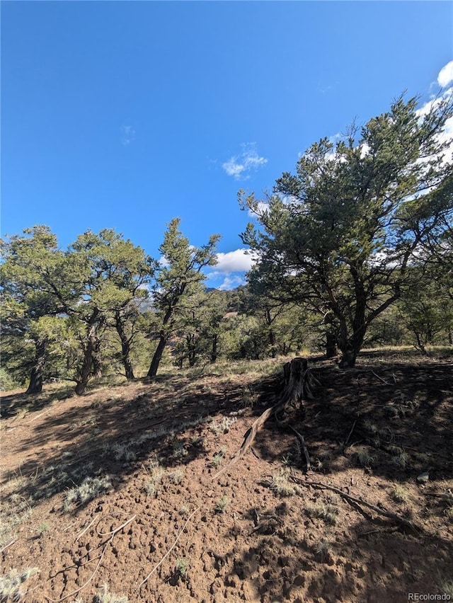 1813 Rockyview Way, Crestone, CO 81131