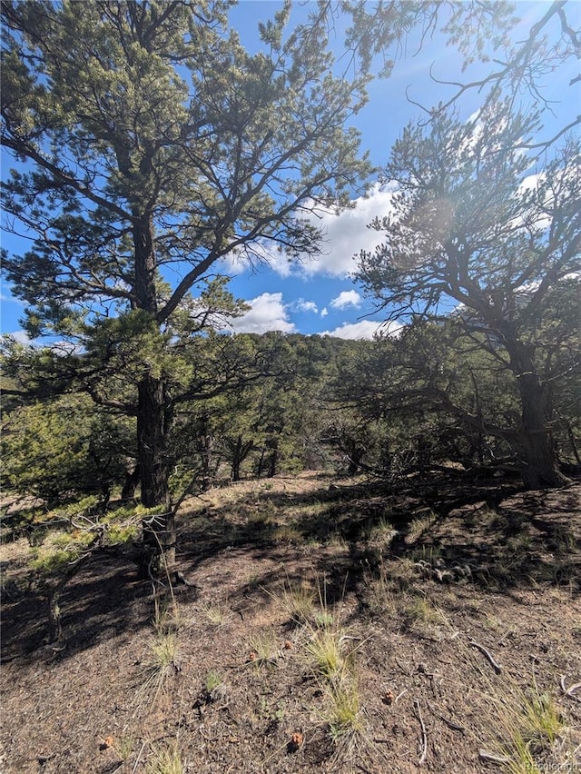 1813 Rockyview Way, Crestone, CO 81131