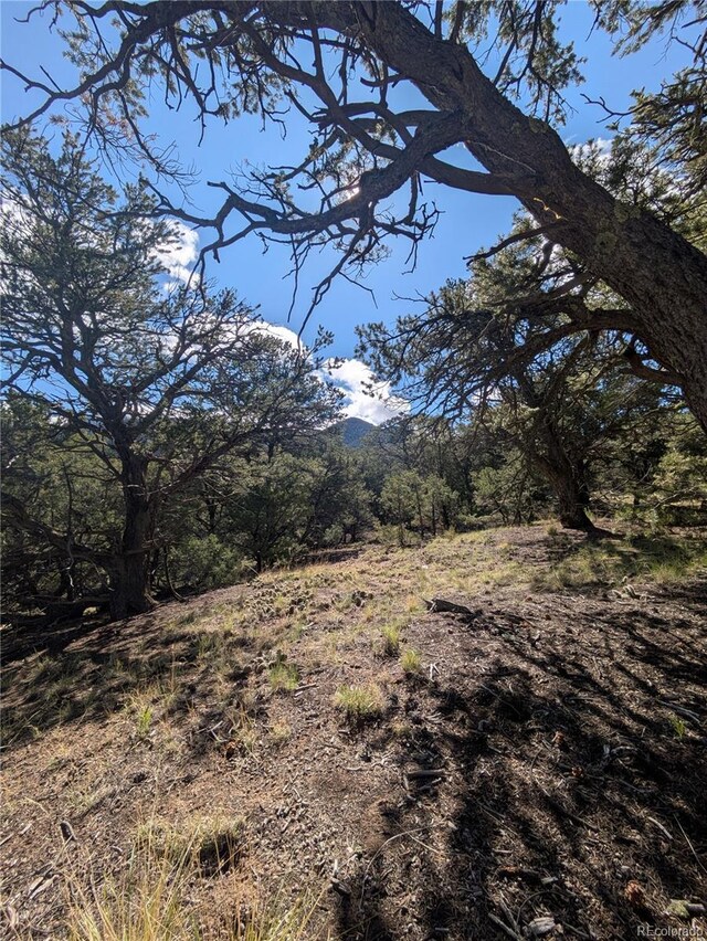 1813 Rockyview Way, Crestone, CO 81131
