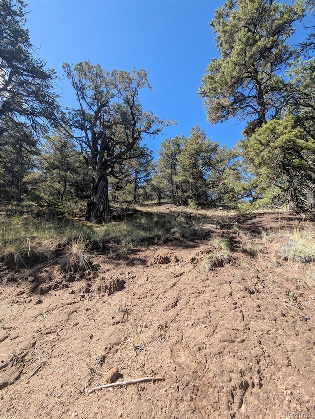 1813 Rockyview Way, Crestone, CO 81131