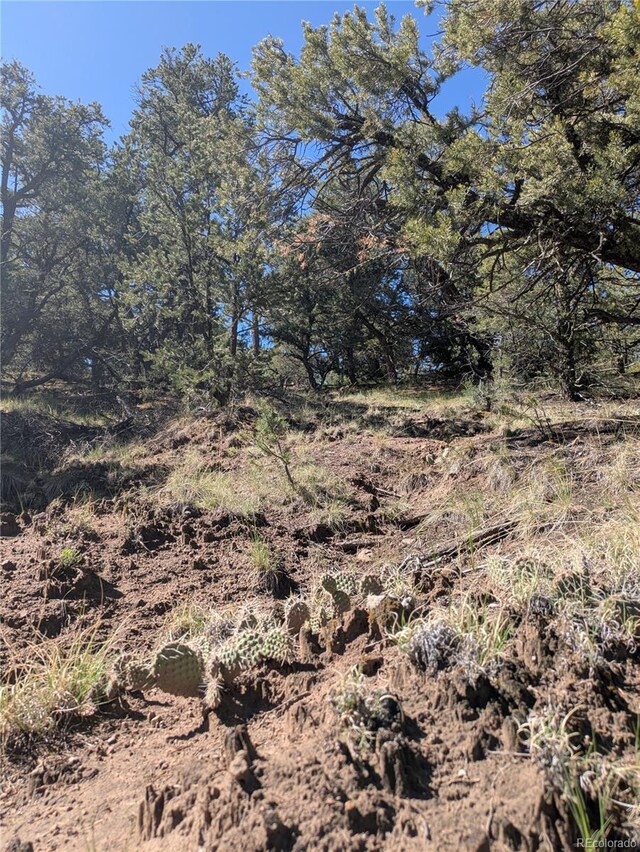 1813 Rockyview Way, Crestone, CO 81131