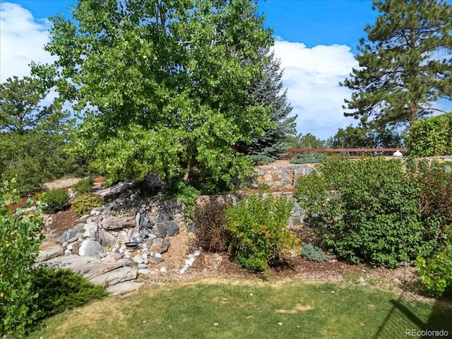 2168 Ramblewood Ct, Castle Rock, CO 80104 - photo 44