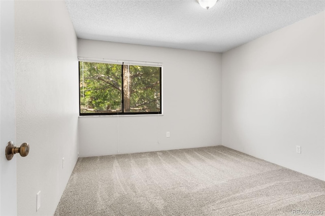 carpeted spare room with a textured ceiling