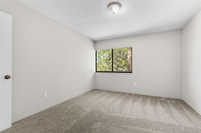 unfurnished room featuring carpet and a textured ceiling