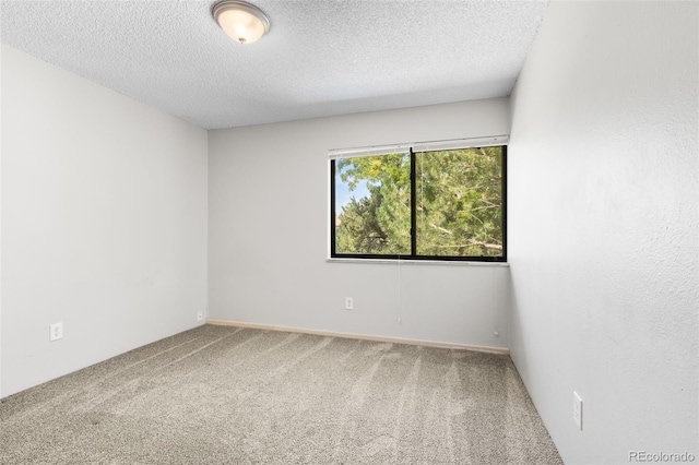 empty room with a textured ceiling and carpet flooring