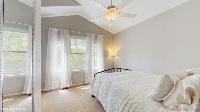 bedroom featuring carpet, vaulted ceiling, baseboards, and ceiling fan
